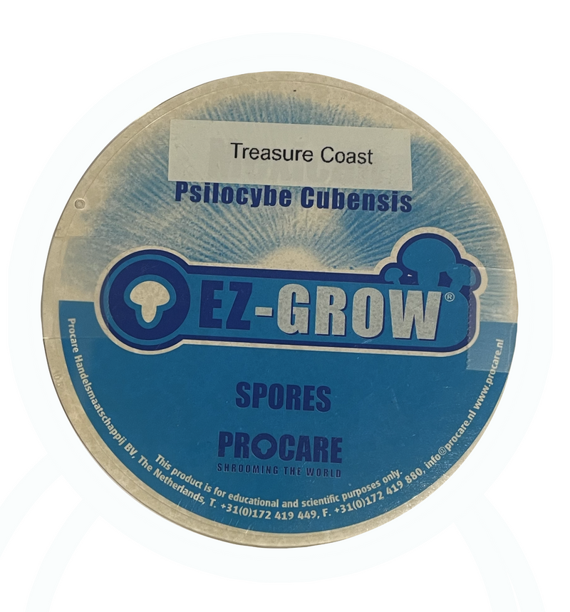 Treasure Coast Spore Print