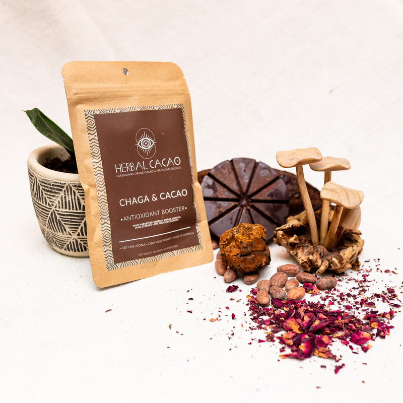 Cacao Herbal Chaga mezcla