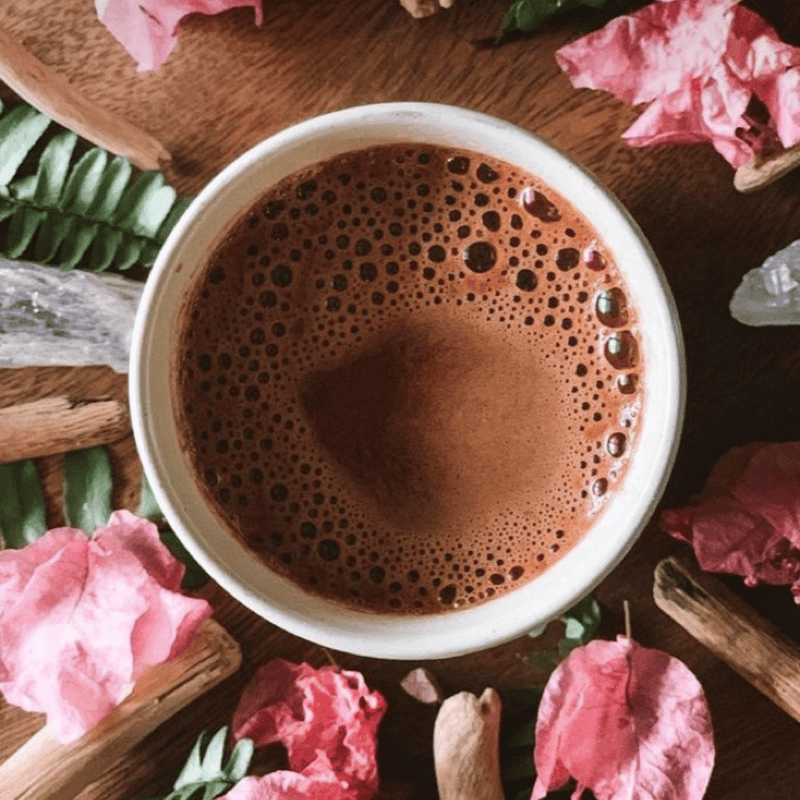 Cacao a base di erbe Mucuna pruriens, rosa miscela