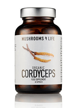 medicinal mushroom and super food cordyceps  capsules 