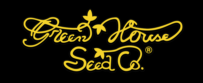 super lemon haze cbd auto-flowering feminized cannabis seeds