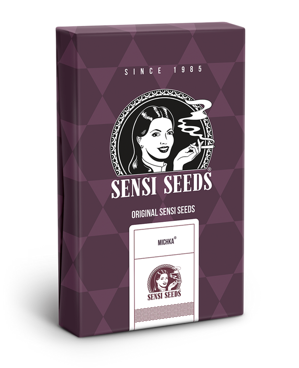 MICHKA sativa genetic cannabis feminized seeds 